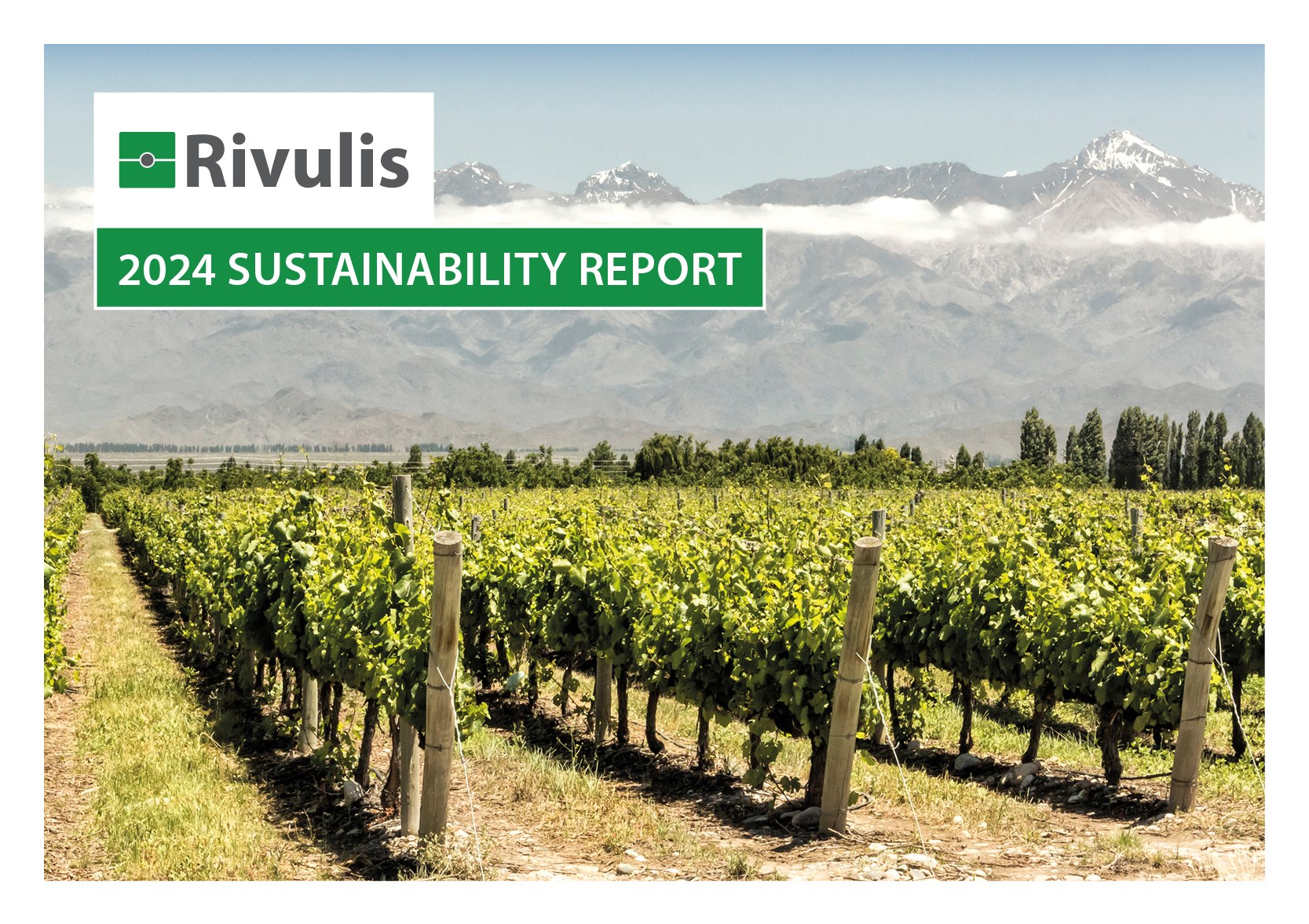 Rivulis דוח קיימות לשנת 2024
