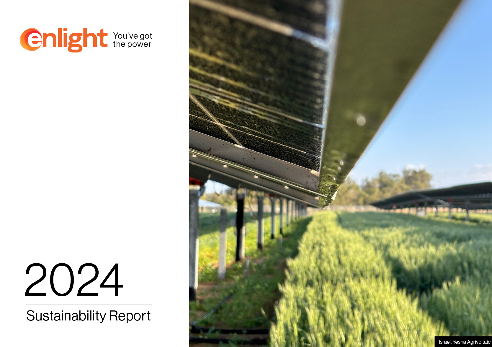 דוח קיימות אנלייט 2024